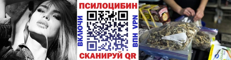 где купить наркоту  Верхняя Пышма  Псилоцибиновые грибы MAGIC MUSHROOMS 