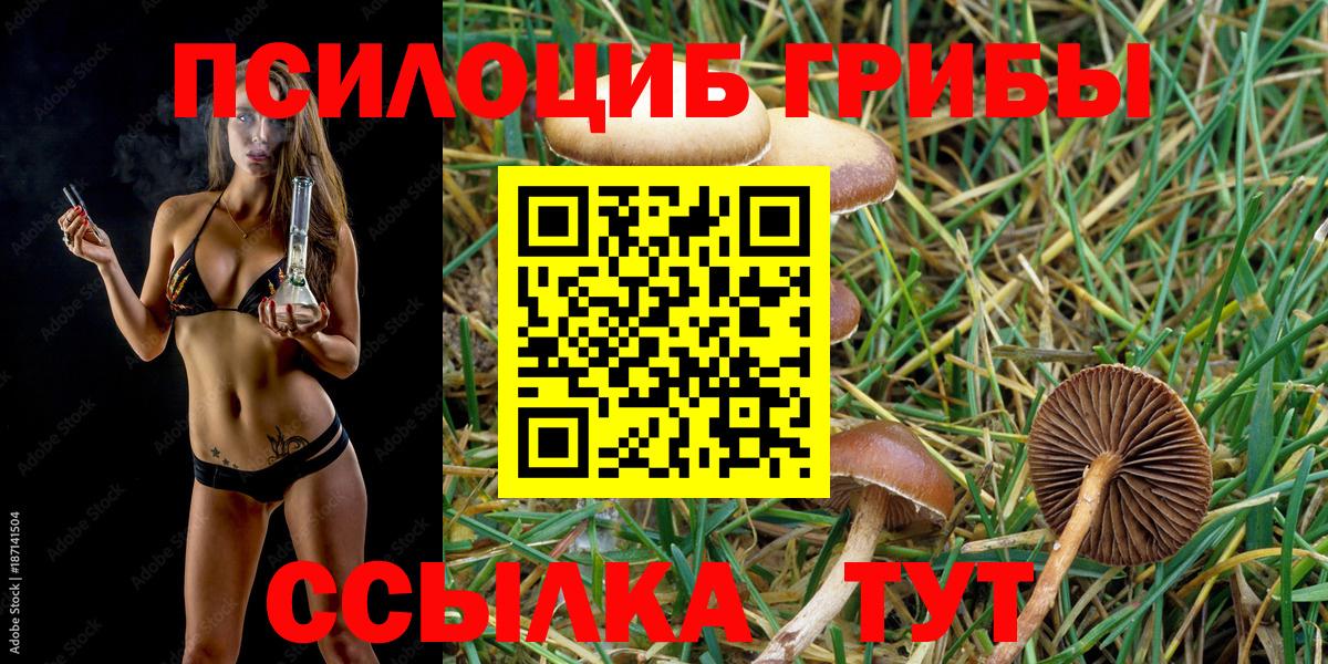Галлюциногенные грибы GOLDEN TEACHER  что такое   Верхняя Пышма  Вход с VPN 