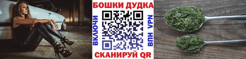 Конопля план  Верхняя Пышма 